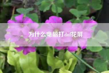 为什么电脑打dnf花屏