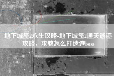 地下城堡2永生攻略-地下城堡2通关遗迹攻略，求教怎么打遗迹boss