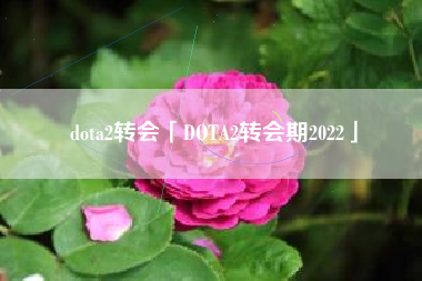 dota2转会「DOTA2转会期2022」