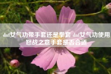 dnf女气功带手套还是拳套 dnf女气功使用怒战之意手套是否合适