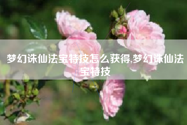 梦幻诛仙法宝特技怎么获得,梦幻诛仙法宝特技