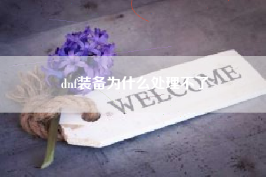 dnf装备为什么处理不了