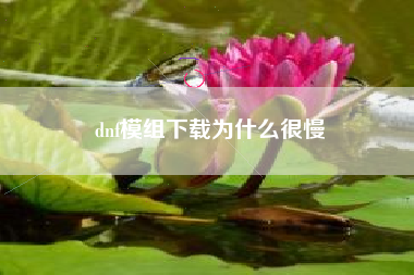 dnf模组下载为什么很慢