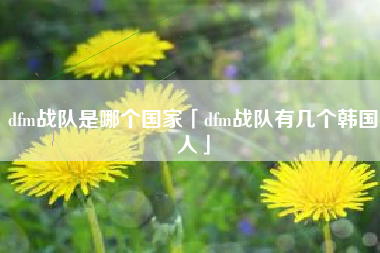 dfm战队是哪个国家「dfm战队有几个韩国人」