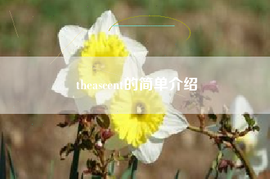 theascent的简单介绍