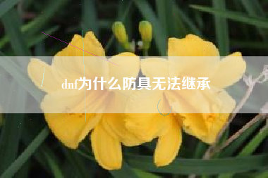 dnf为什么防具无法继承