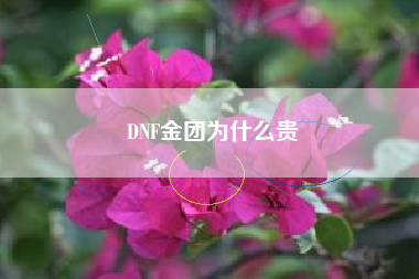 DNF金团为什么贵