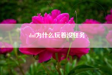 dnf为什么玩着没任务