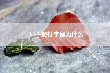 dnf不能打字是为什么