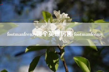 footmanfrenzy哪个英雄厉害 footmanfrenzy