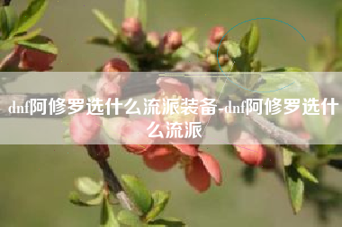 dnf阿修罗选什么流派装备-dnf阿修罗选什么流派