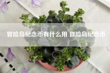 冒险岛纪念币有什么用 冒险岛纪念币