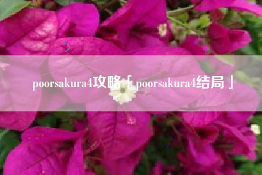 poorsakura4攻略「poorsakura4结局」