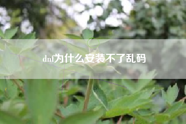 dnf为什么安装不了乱码