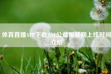 体育直播APP下载DNF公益服延期上线时间介绍