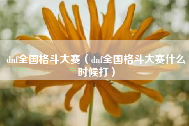 dnf全国格斗大赛（dnf全国格斗大赛什么时候打）