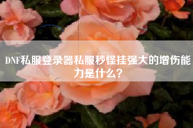 DNF私服登录器私服秒怪挂强大的增伤能力是什么？