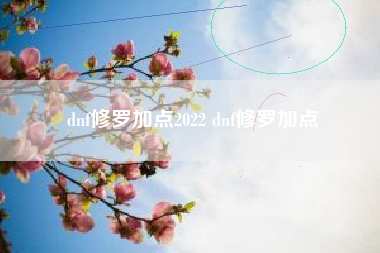 dnf修罗加点2022 dnf修罗加点