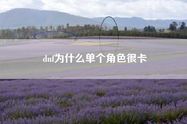 dnf为什么单个角色很卡