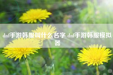 dnf手游韩服叫什么名字 dnf手游韩服模拟器