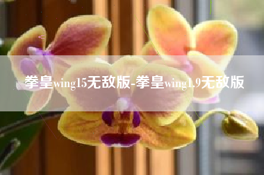 拳皇wing15无敌版-拳皇wing1.9无敌版