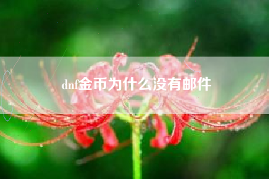 dnf金币为什么没有邮件