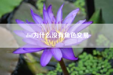 dnf为什么没有角色交易