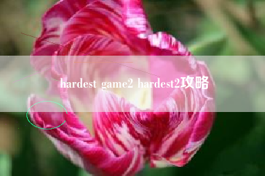 hardest game2 hardest2攻略