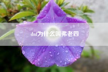 dnf为什么叫弗老四