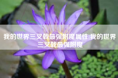 我的世界三叉戟最强附魔属性 我的世界三叉戟最强附魔