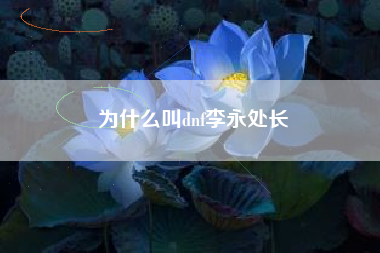 为什么叫dnf李永处长