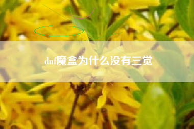 dnf魔盒为什么没有三觉