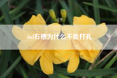 dnf右槽为什么不能打孔