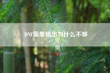 DNF蓝拳输出为什么不够