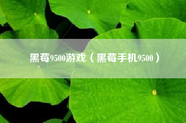 黑莓9500游戏（黑莓手机9500）