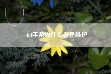 dnf手游为什么老是维护