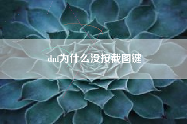 dnf为什么没按截图键