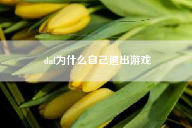 dnf为什么自己退出游戏