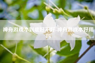 神舟游戏本到底好不好-神舟游戏本好用吗