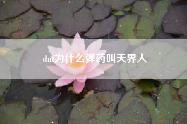 dnf为什么弹药叫天界人