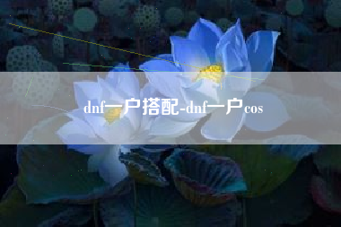 dnf一户搭配-dnf一户cos