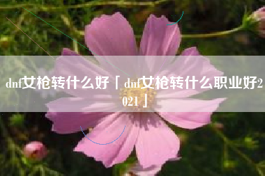 dnf女枪转什么好「dnf女枪转什么职业好2021」