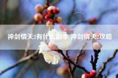 神剑情天2有什么副本 神剑情天2攻略