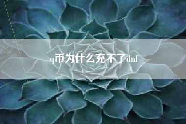 q币为什么充不了dnf