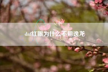 dnf红眼为什么不用逸龙