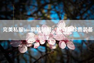 完美私服boss刷新时间：抢夺最珍贵装备