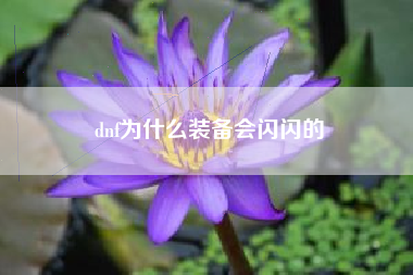 dnf为什么装备会闪闪的