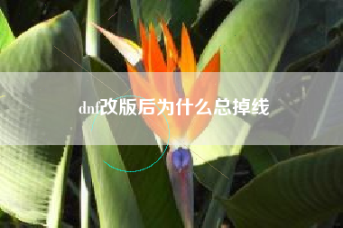 dnf改版后为什么总掉线