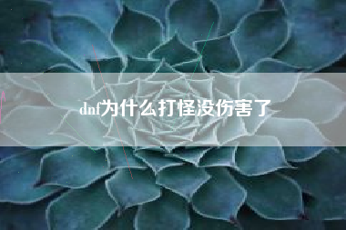 dnf为什么打怪没伤害了