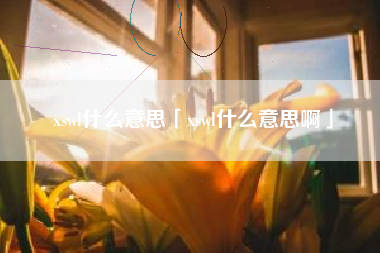 xswl什么意思「xswl什么意思啊」